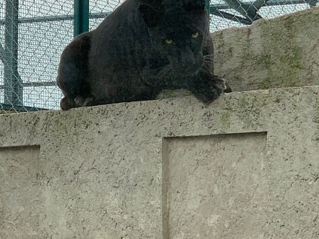 Mundo Granjero & Zoo-Contepec必去景点