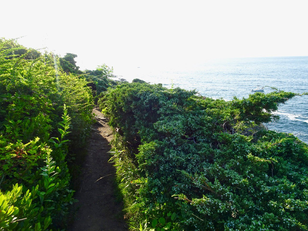 Prouts Neck Cliff Walk-Prouts Neck必去景点