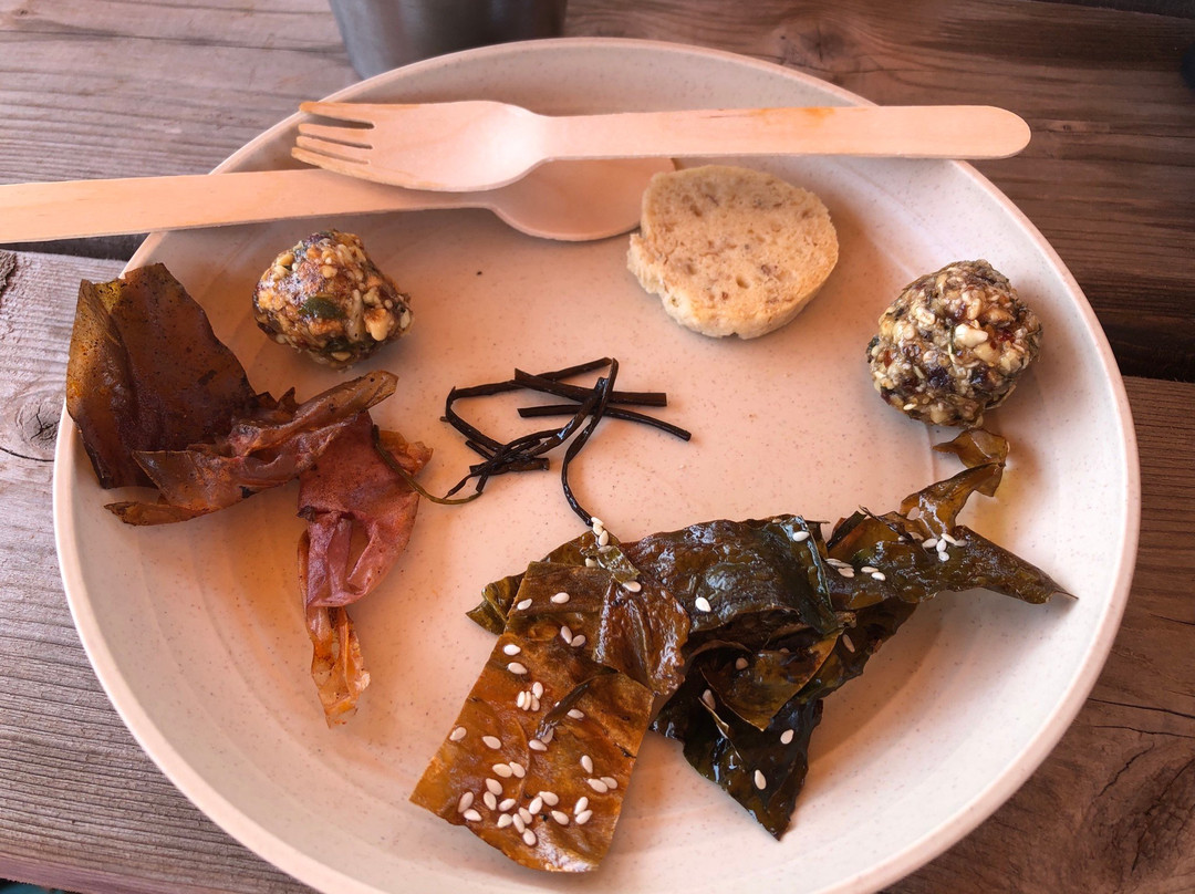 Basin Head - Beyond the Beach-Souris必去景点