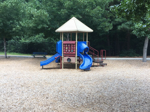 George Pierce Park-苏万尼必去景点