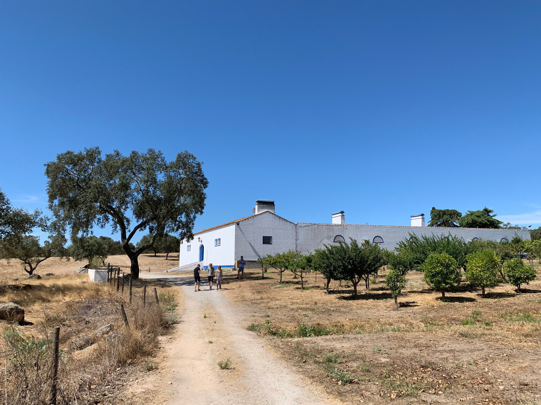 Herdade da Amendoeira
