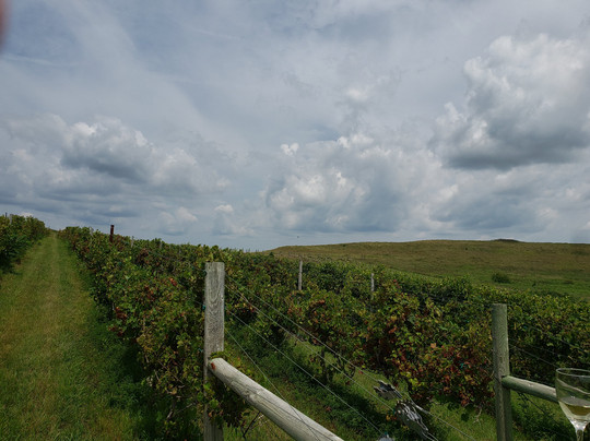 Prairie Fire Winery-Paxico必去景点
