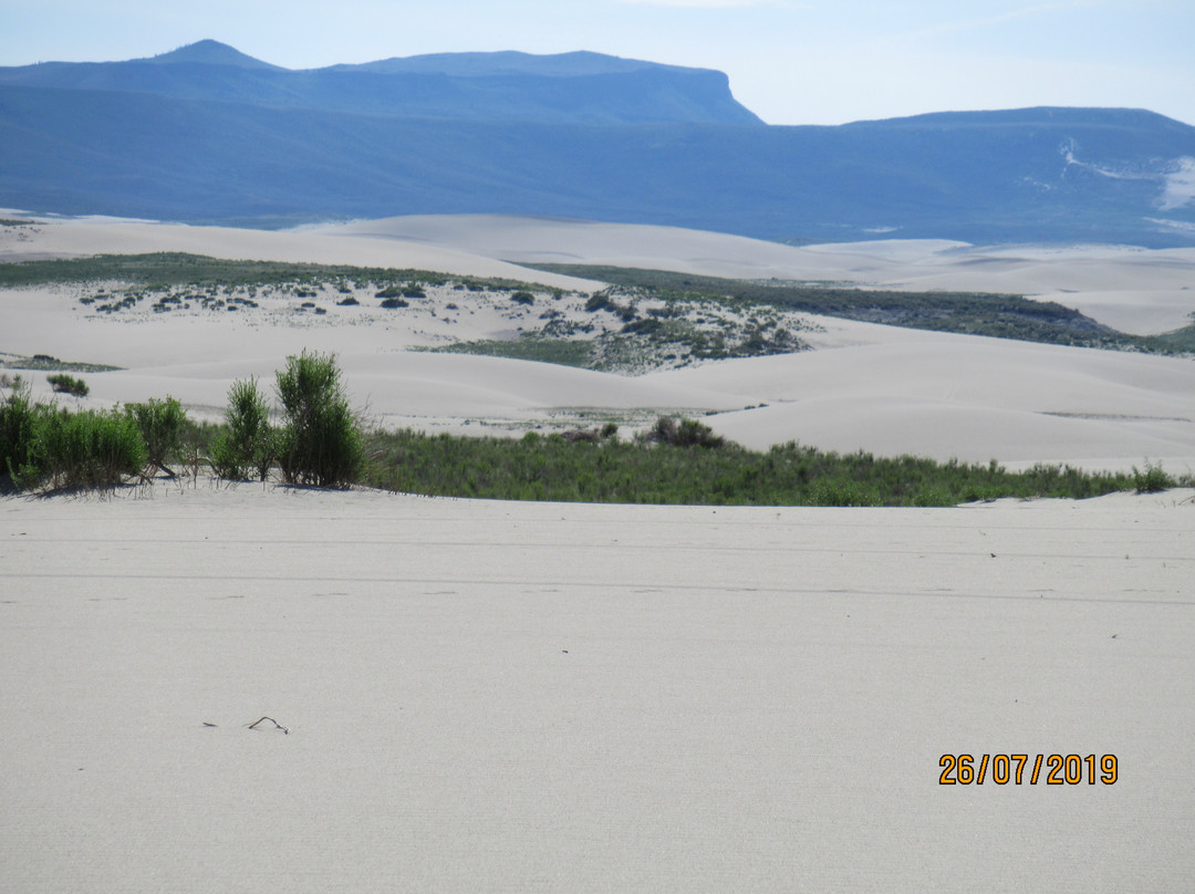 Killpecker Sand Dunes景点图片