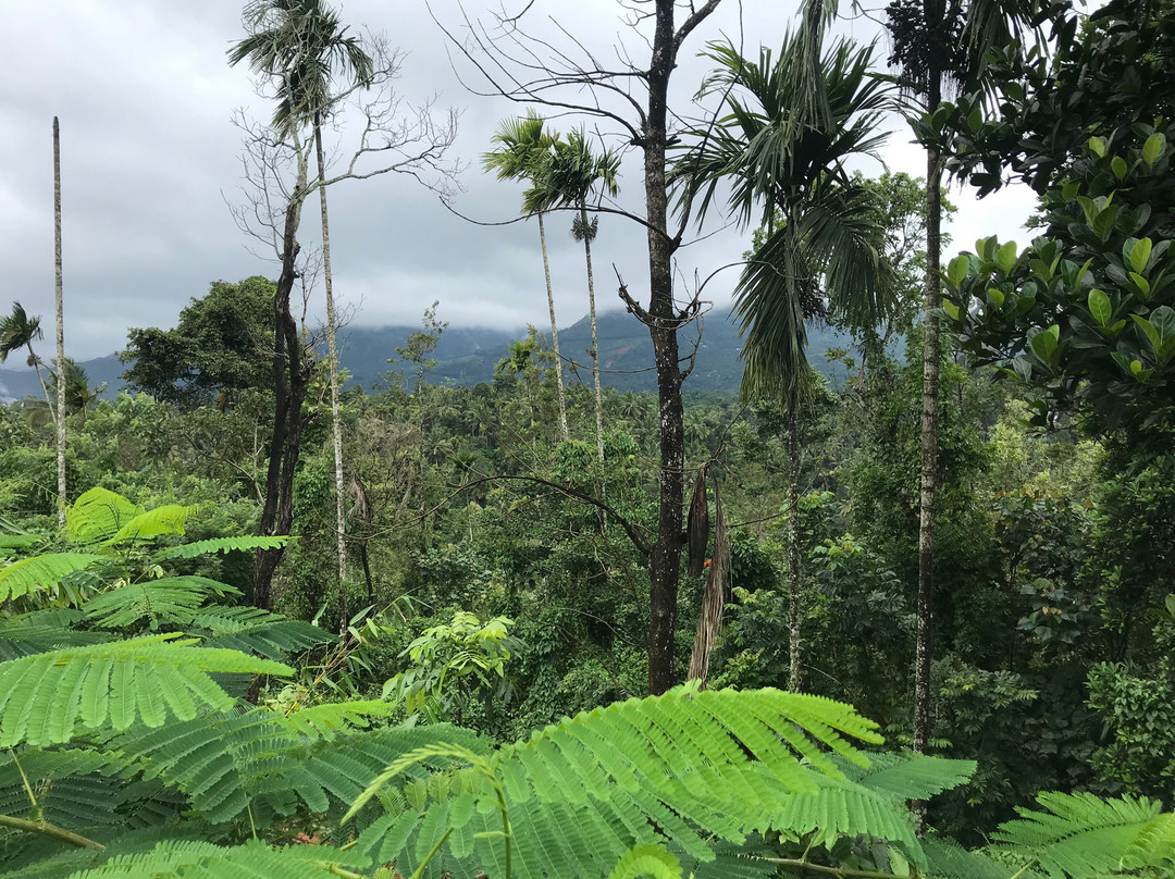 Morickap Resort主图