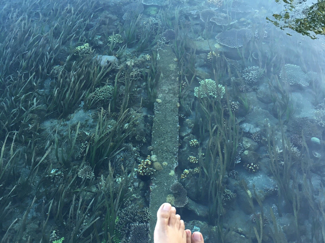 Tumbak Homestay主图