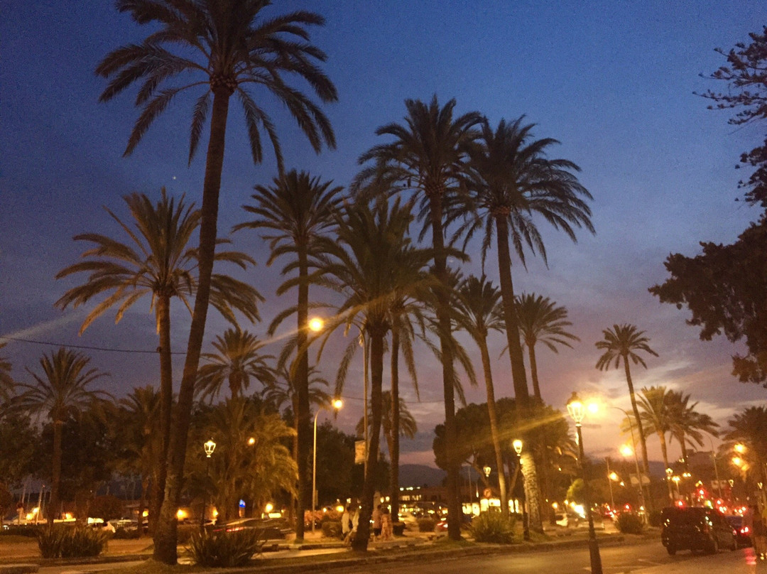 Palma de Mallorca主图