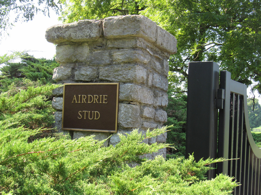 Airdrie Stud景点图片