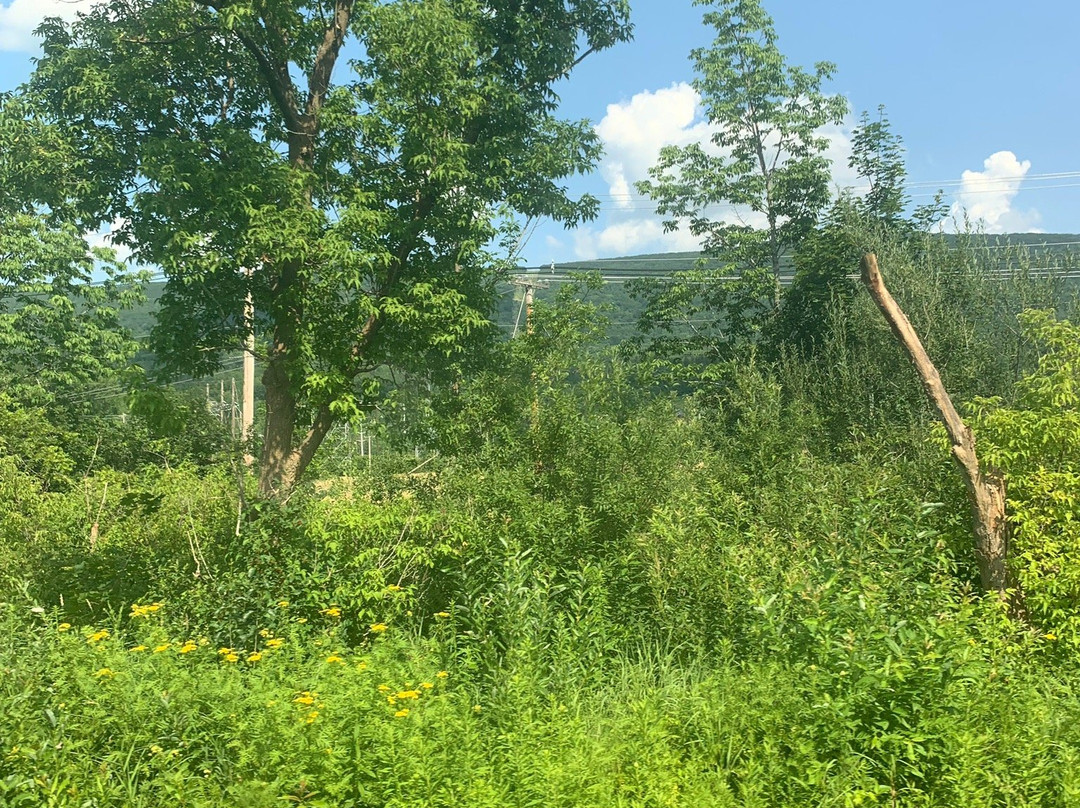 Berkshire Scenic Railway Museum and Train Rides-North Adams必去景点