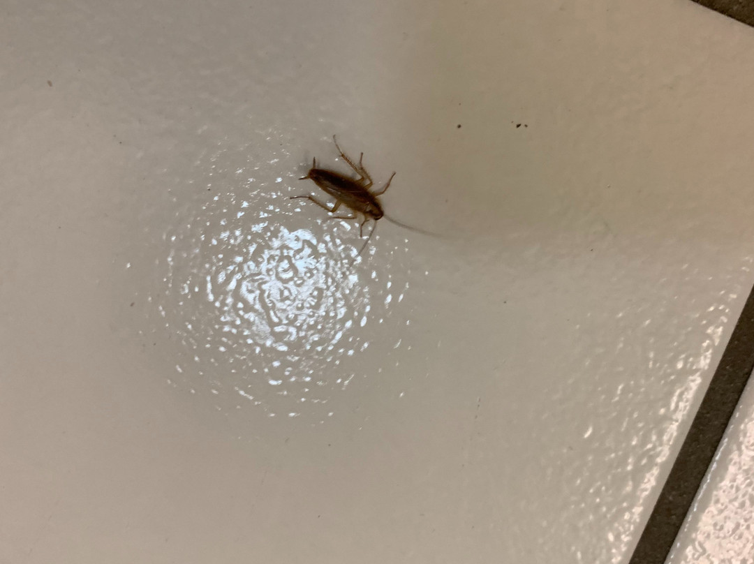 贝斯特韦斯特迪尔菲尔德旅馆主图