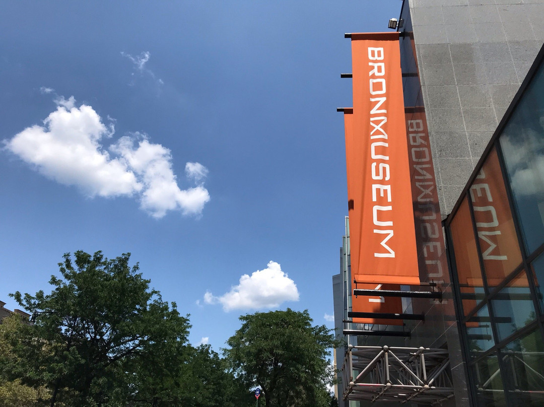 Bronx Museum of the Arts-布朗克斯必去景点