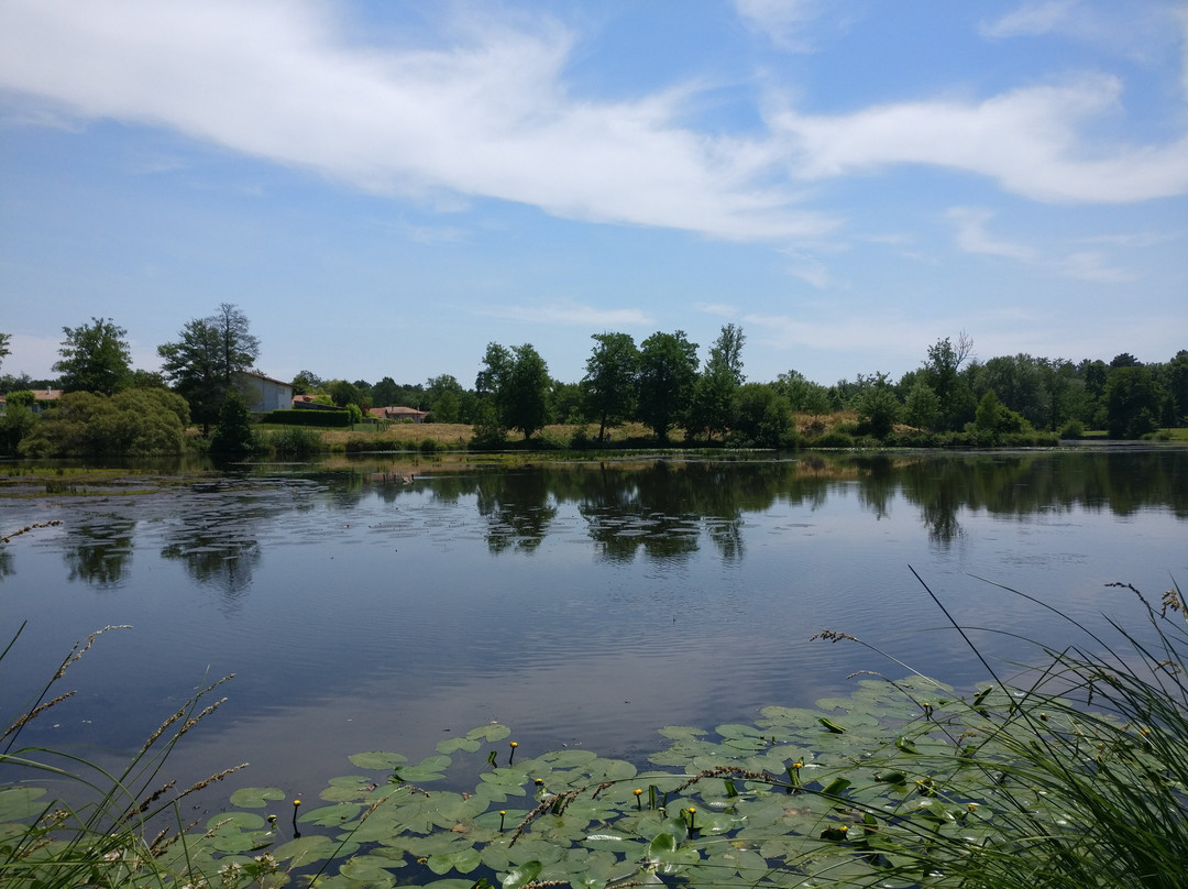 Etang de Brocas景点图片