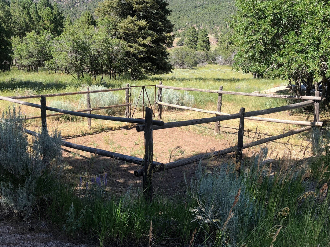 Pine Valley Recreation Area-Pine Valley必去景点