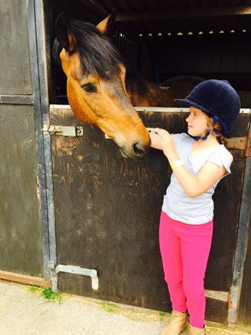 Aberconwy Equestrian Centre景点图片