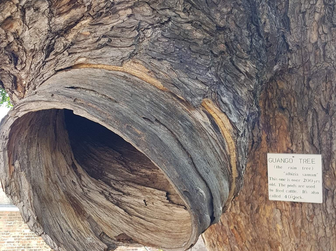 Fort Charles-Port Royal必去景点