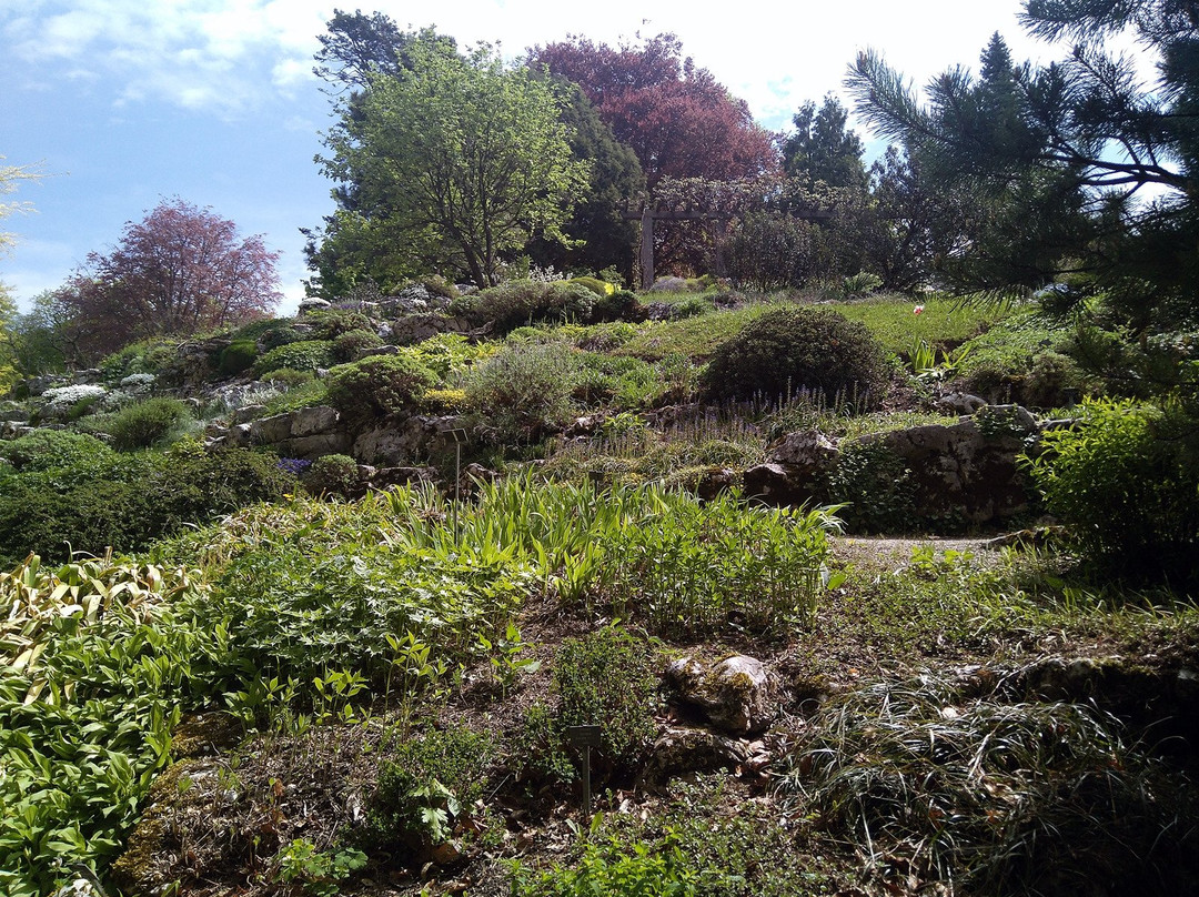 Jardin Botanique Lausanne-洛桑必去景点