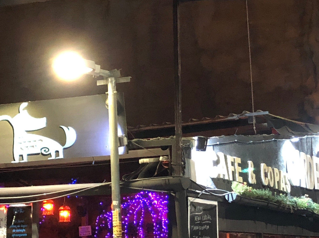 El Perro Azul-穆尔西亚必去景点