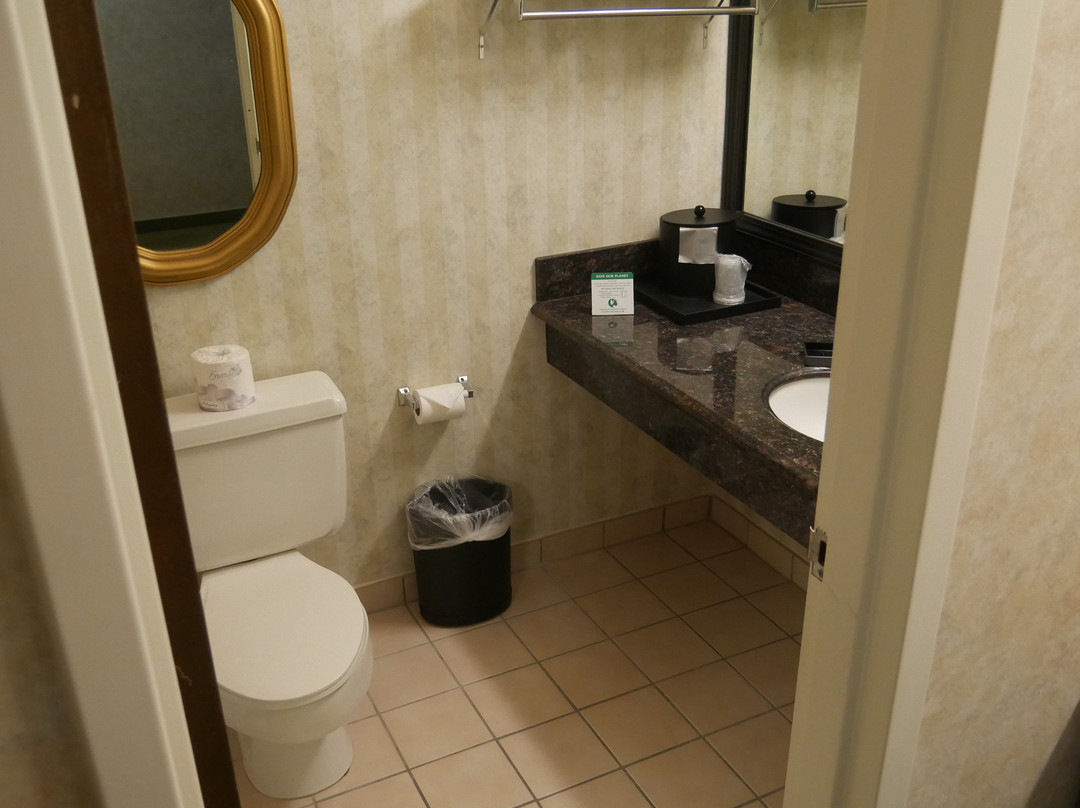 肖皮卡迪利酒店主图