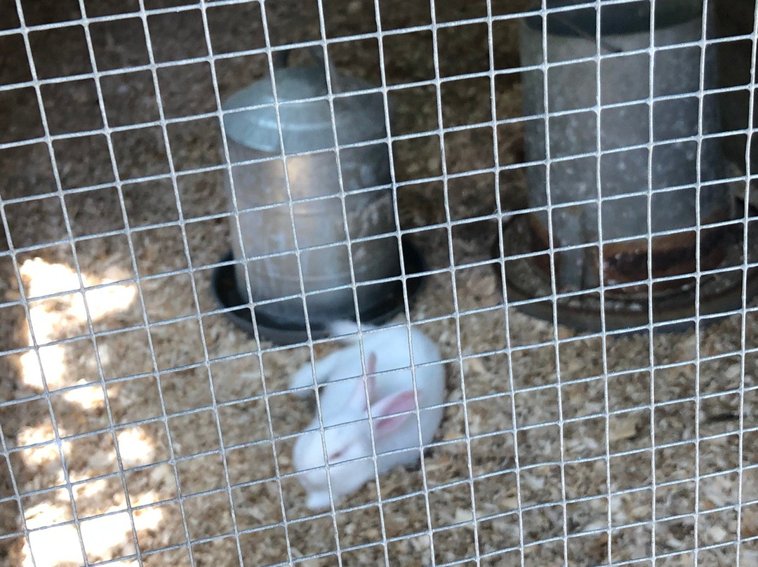 Au Pays Des Merveilles-Sainte-Adele必去景点