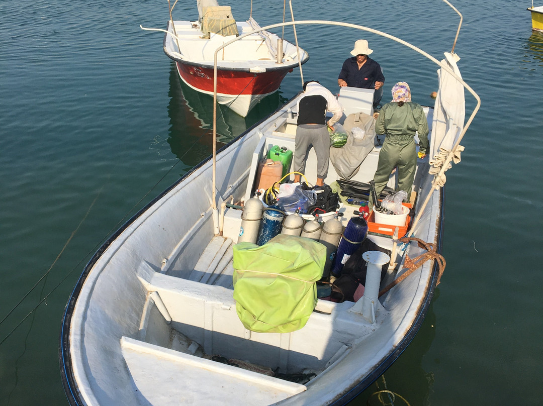 مدرسه غواصی مرکزی-Bushehr必去景点