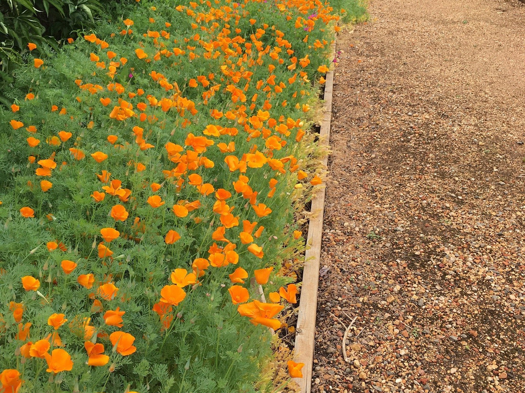 Lambley Gardens & Nursery-Ascot必去景点