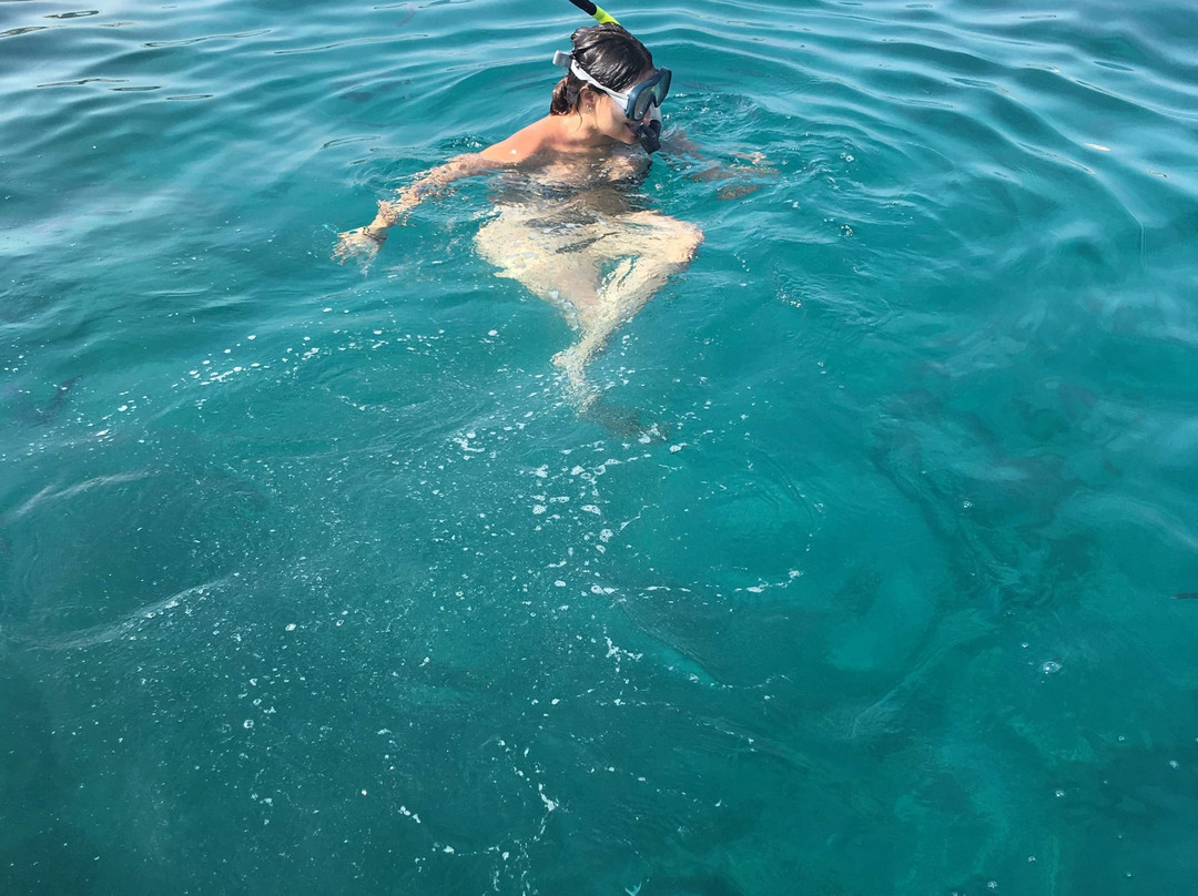 Flying Cruiser-阿利坎特省必去景点