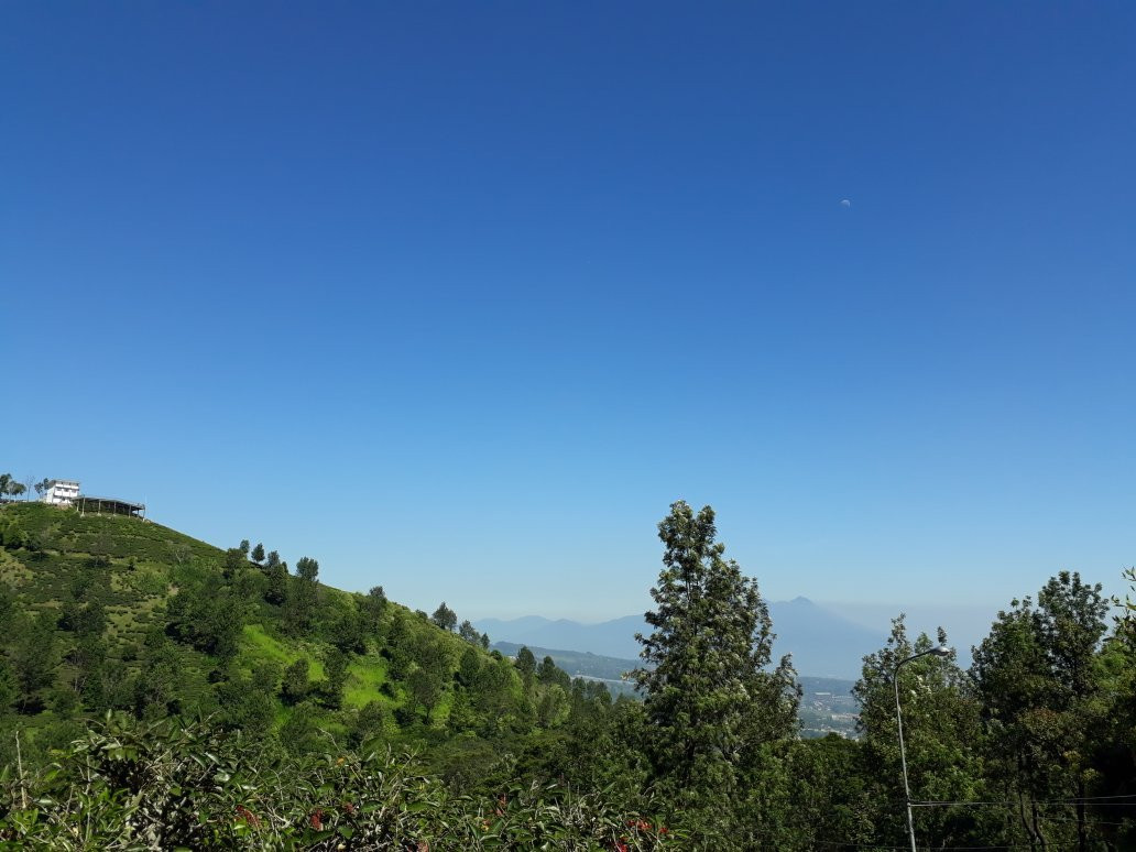 Atta'awun Puncak Mosque-本哲必去景点