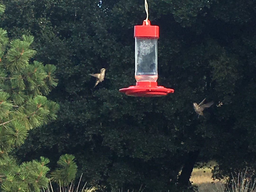 Red Tail Ranch主图