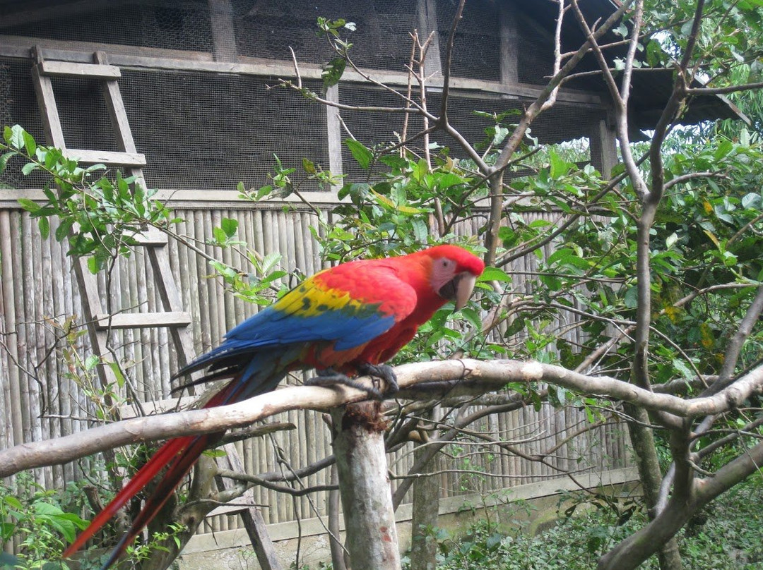 Dos Loritos-Paucartambo必去景点