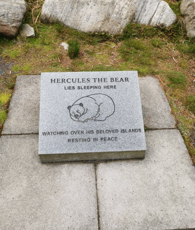 Hercules the Bear景点图片