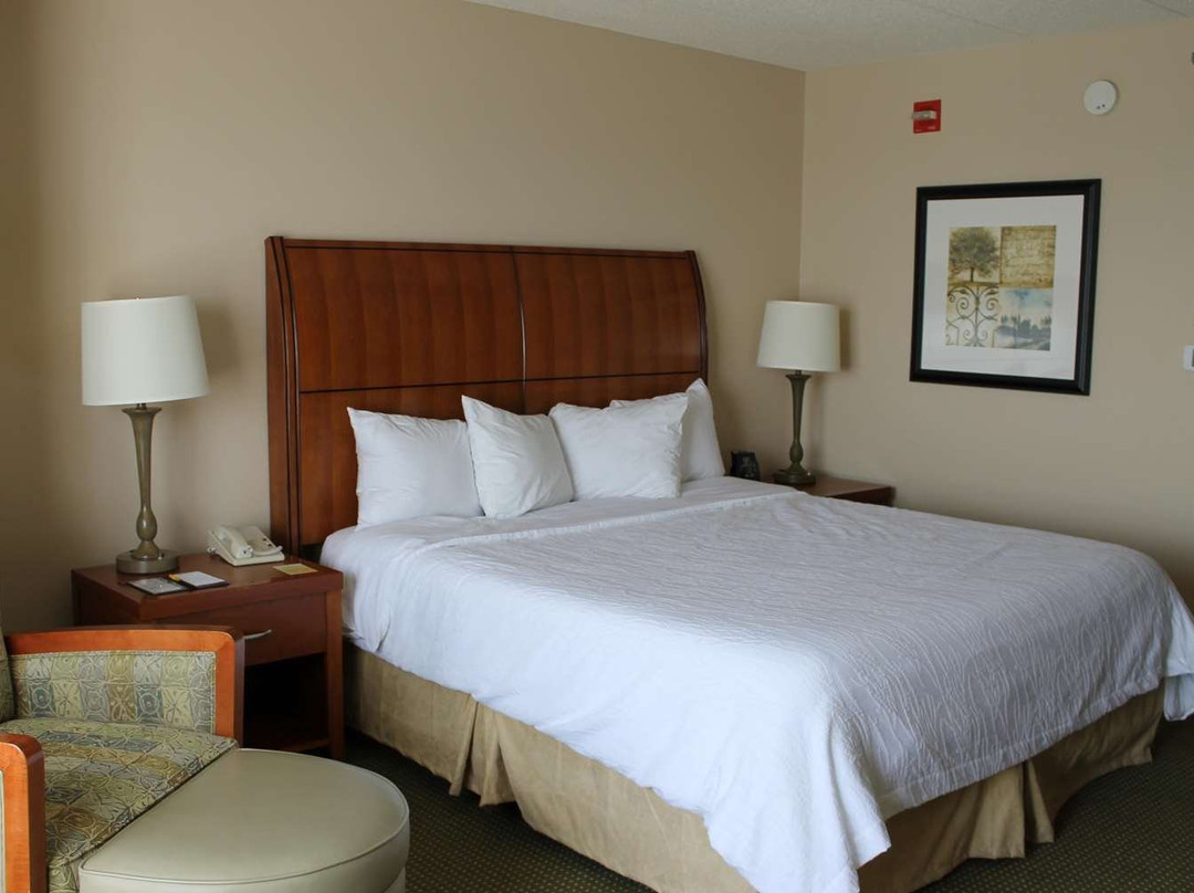 艾迪生希尔顿花园酒店主图