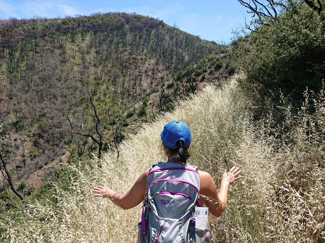 Howard Creek Trail-奥海必去景点