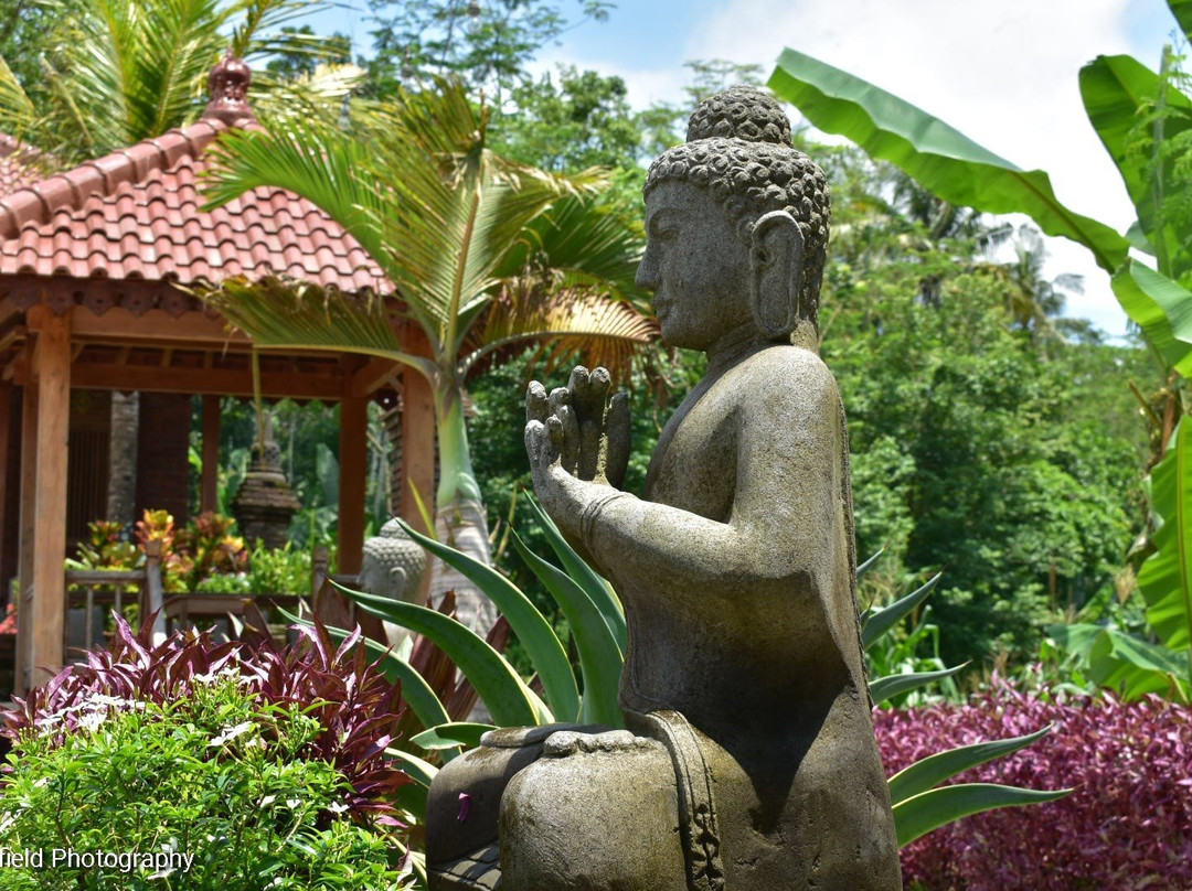 Rumah Dharma 2 Riverside主图