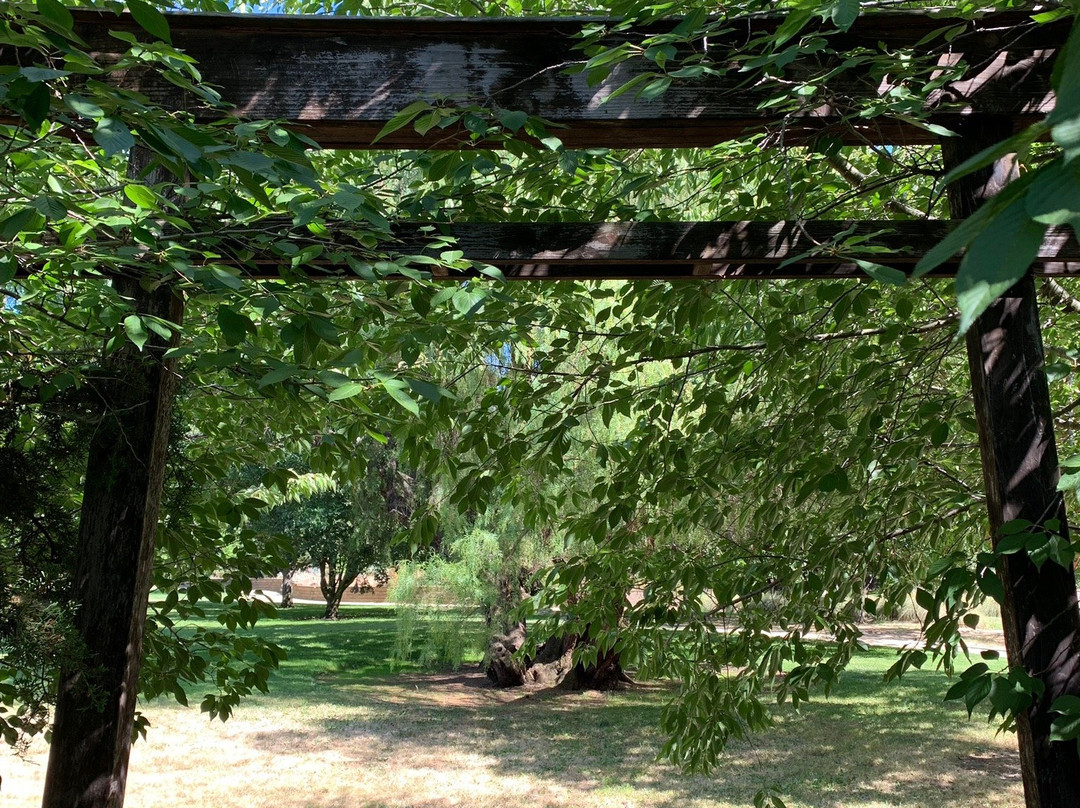Markham Nature Park and Arboretum-康科德必去景点