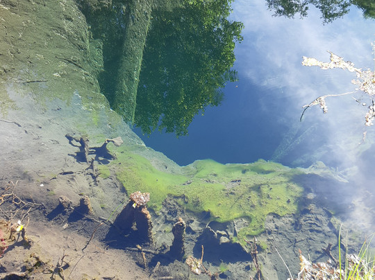 Mshenchskiy Holy Spring-Mshentsy必去景点