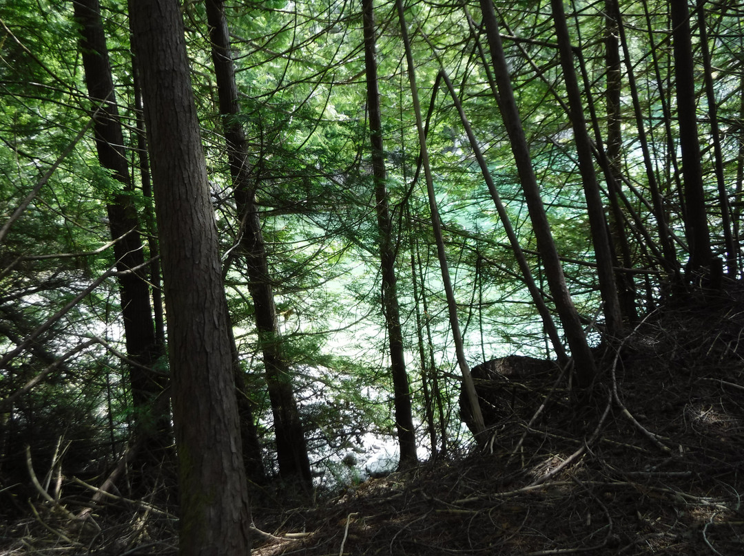 Broughton Archipelago Provincial Park-Echo Bay必去景点