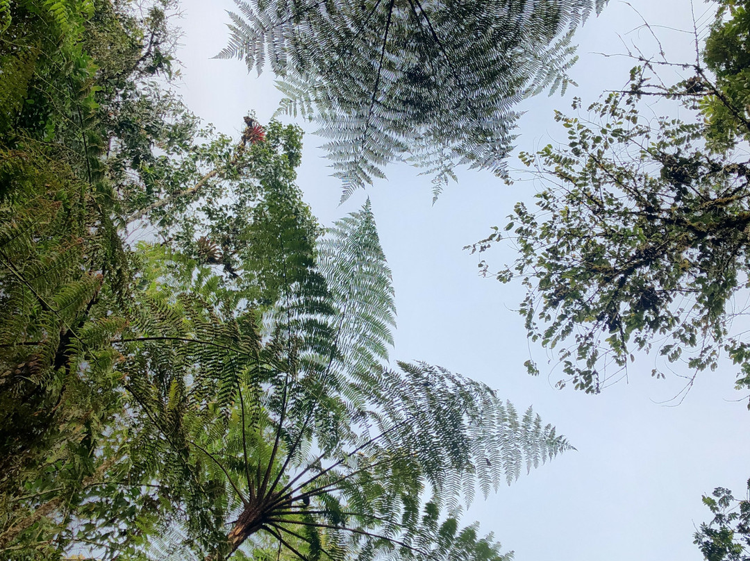 Ulcumano Ecolodge-奥克萨潘帕必去景点