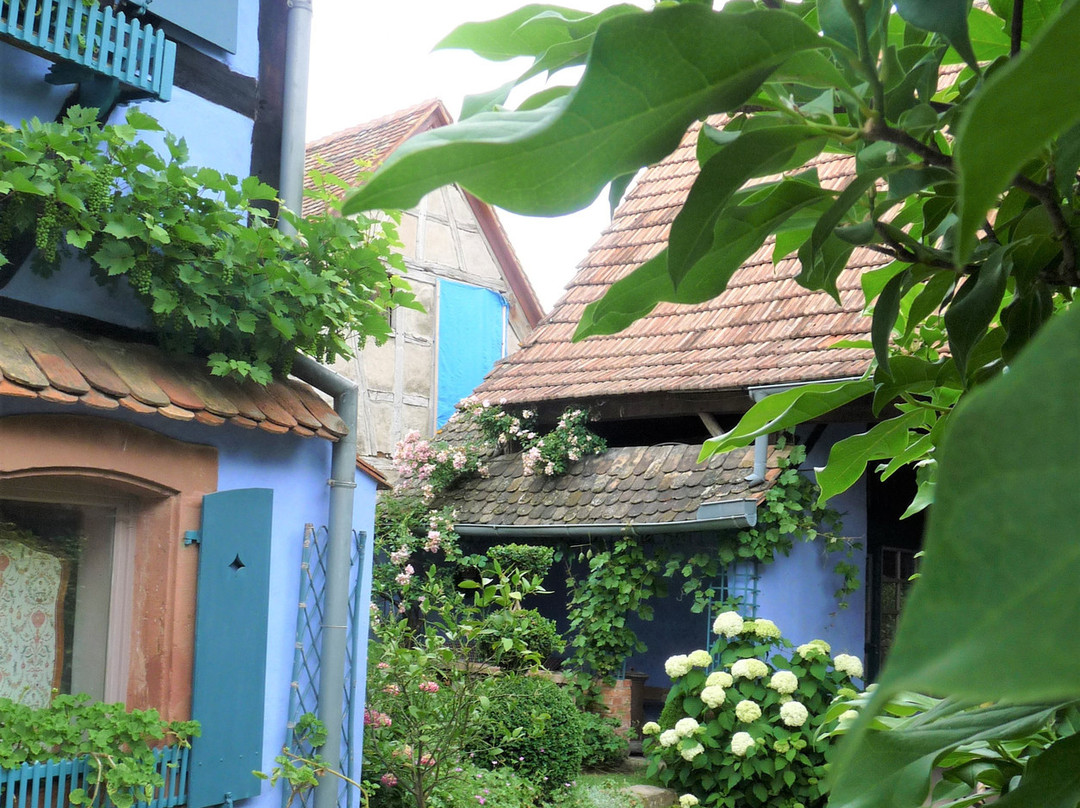 Jardin De La Ferme Bleue景点图片