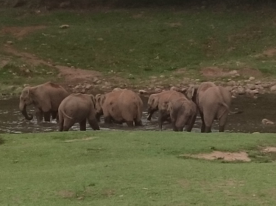 Elephant View Point景点图片