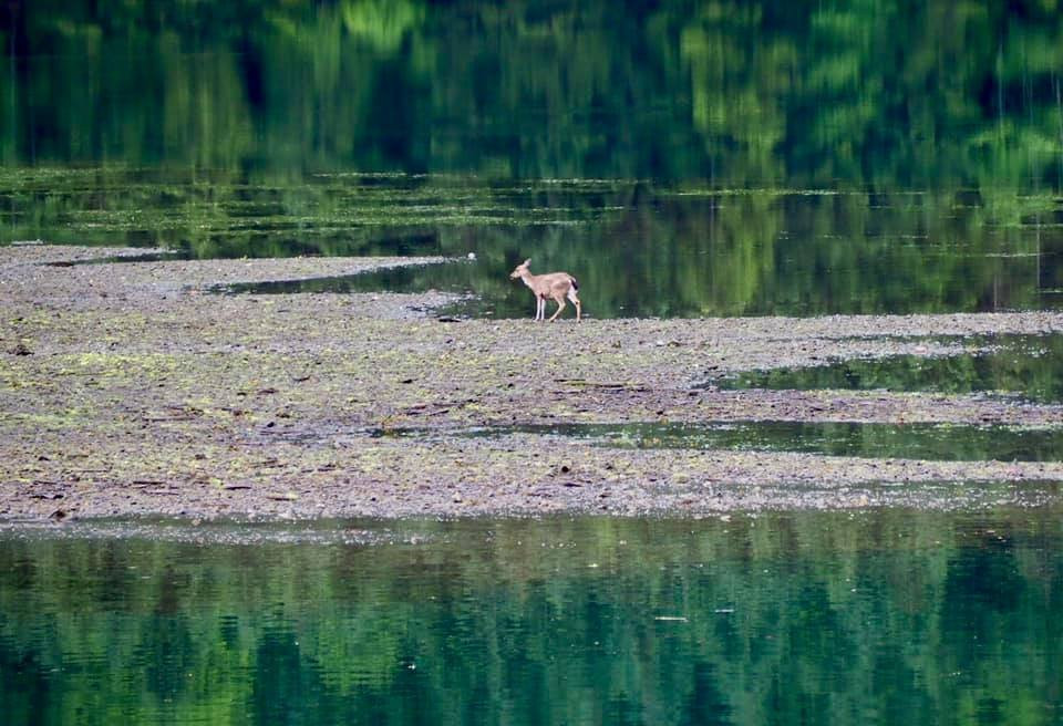 Ocean House at Tlaga Gawtlaas主图