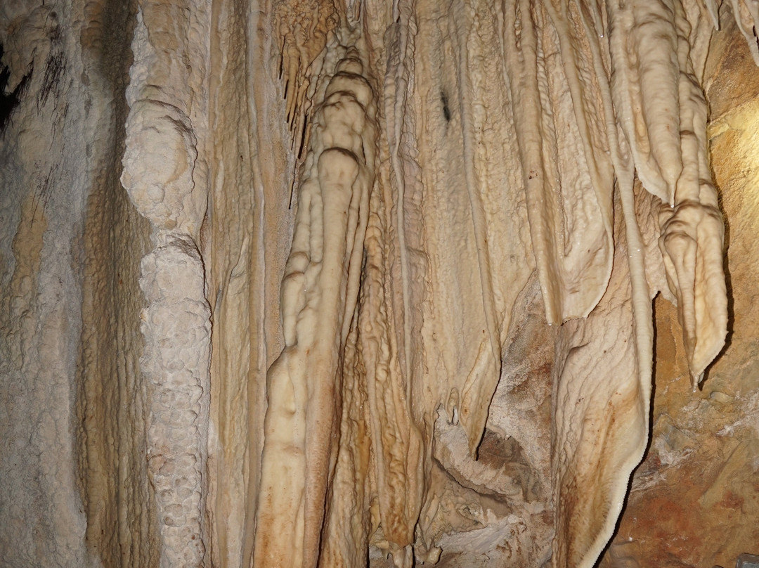 Mercer Caverns景点图片