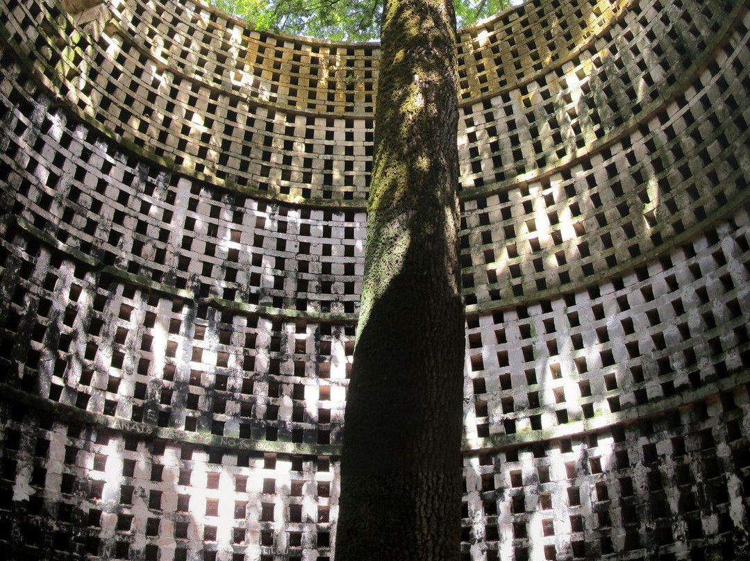 Le Chêne du Pigeonnier de Pouzay景点图片