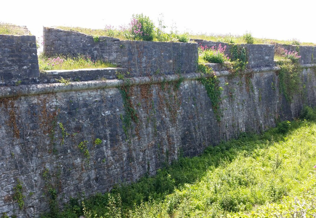 The Wildlife & Forts of Berry Head Trail-布里克瑟姆必去景点