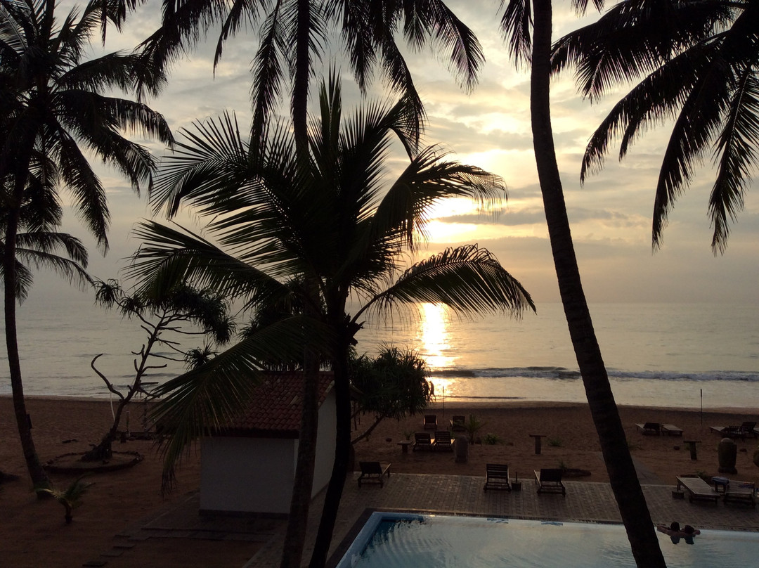 Whispering Palms Hotel主图