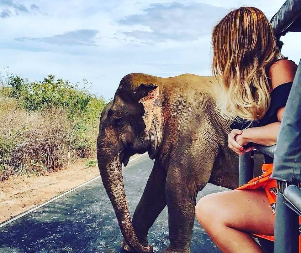 Sandu Tours-Waskaduwa必去景点