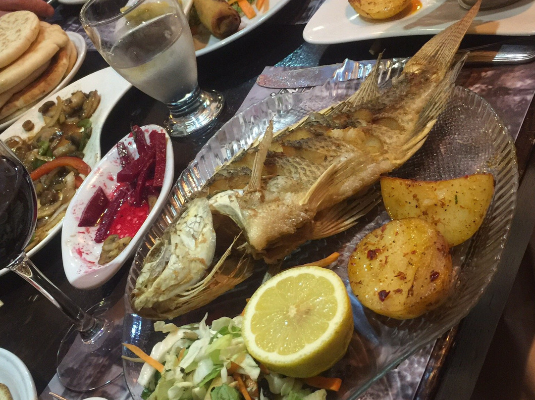 Ori Stern - Israel Private Tours-雷霍沃特必去景点