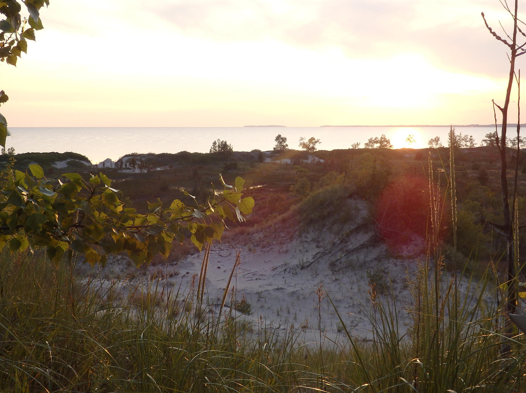 Lake Fever Wilderness Co.-多伦多必去景点