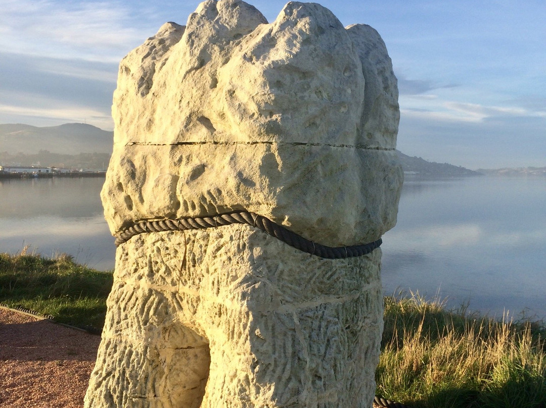 Harbour Molars-但尼丁必去景点