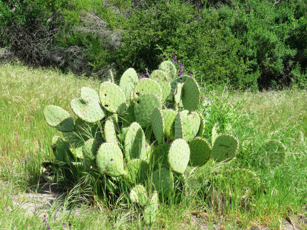Thomas F. Riley Wilderness Park-Trabuco Canyon必去景点