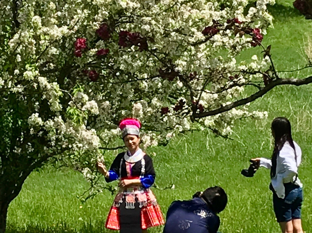 Minnesota Landscape Arboretum-昌哈森必去景点