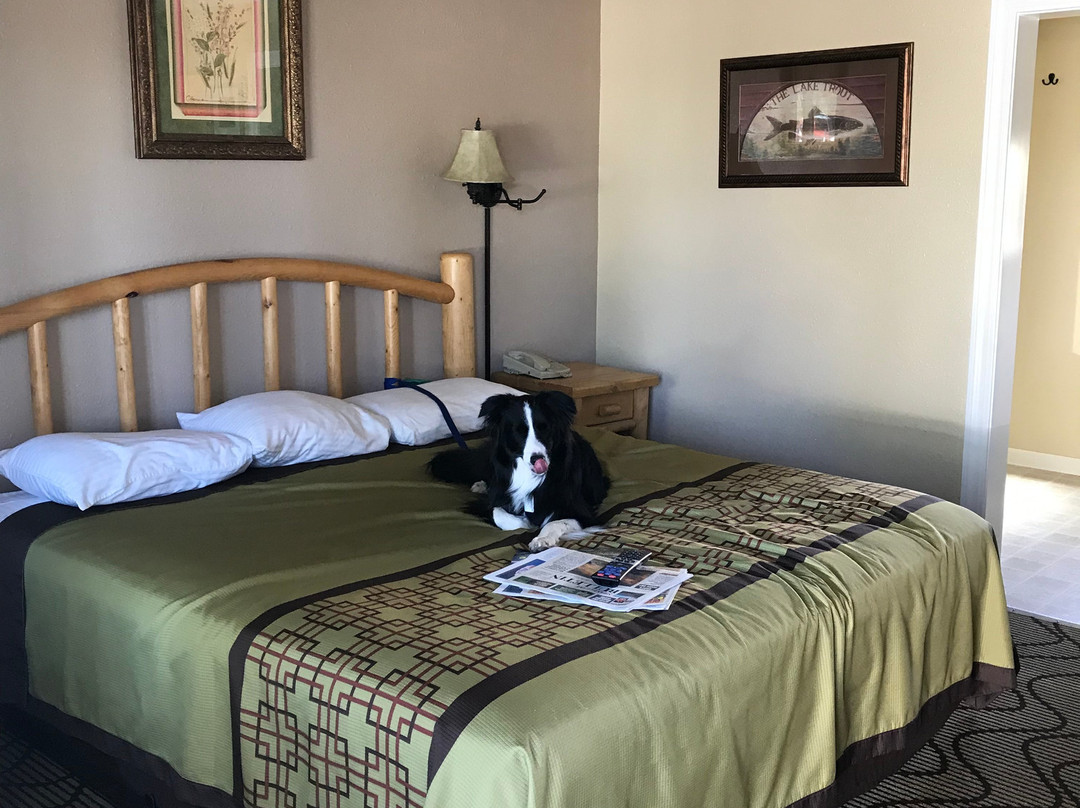 Green Gables Motel & Suites主图